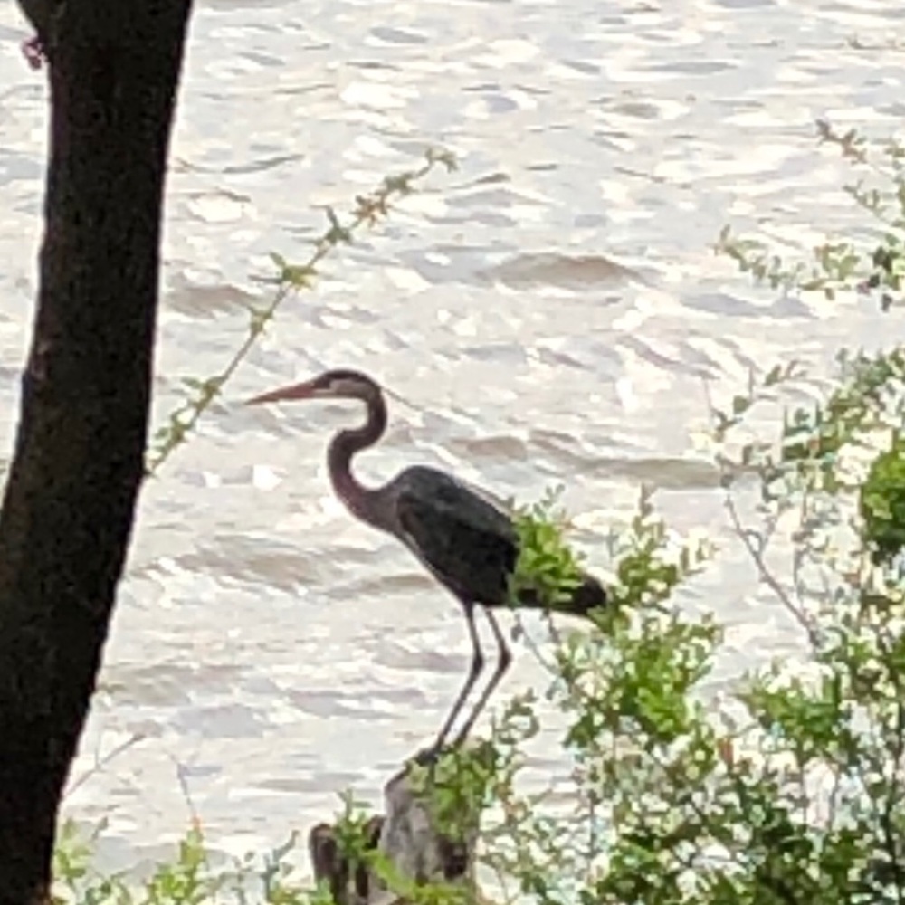 Antique  Pendant Copper Victorian - Picture 2 of 4